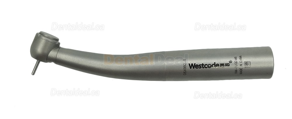 Westcode Dental Fiber Optic Turbine Handpiece Push Button Stainless Steel