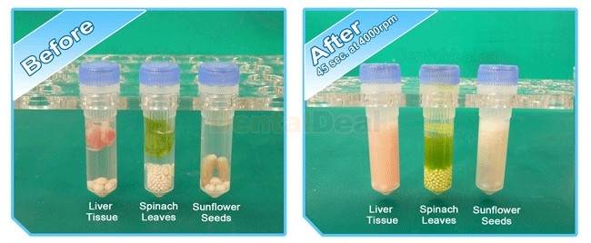 Zoneray Beadbug Lab Microtube Homogenizer Machine