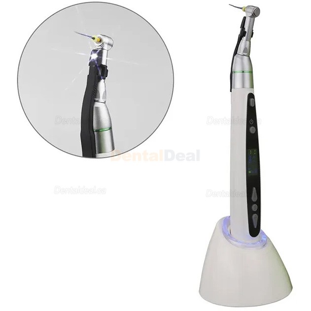Westcode EndoII Dental Cordless Endo Motor Endodontic Handpiece with 2Pcs LED Light