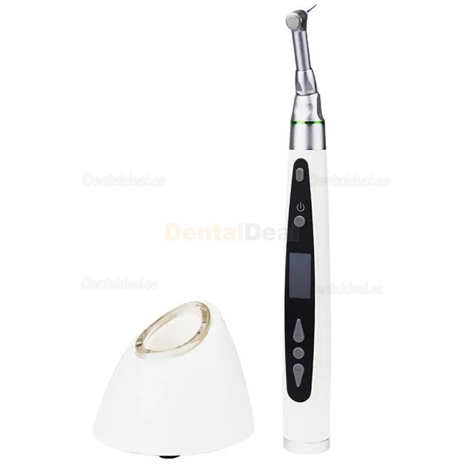 Westcode EndoII Dental Cordless Endo Motor Endodontic Handpiece with 2Pcs LED Light