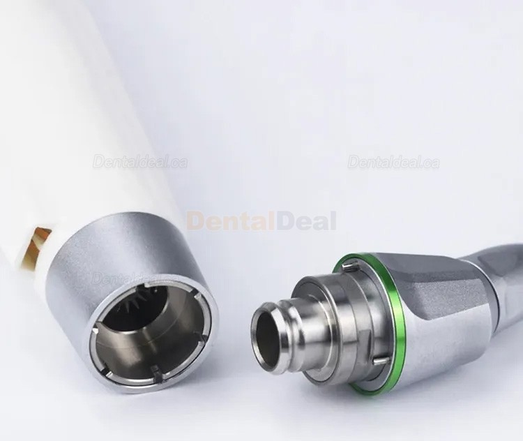 Westcode EndoII Dental Cordless Endo Motor Endodontic Handpiece with 2Pcs LED Light