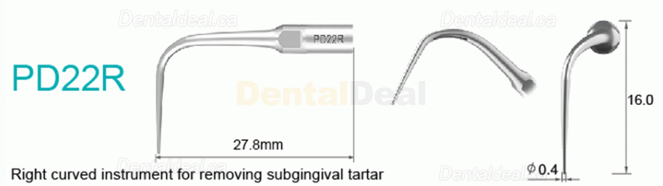 10Pcs Refine&reg; Ultrasonic Scaler Tips for Implant PD2L PD2LD PD2R PD2RD PD5 PD6 PD7 PD8 PD10 Fit SATELEC NSK DTE